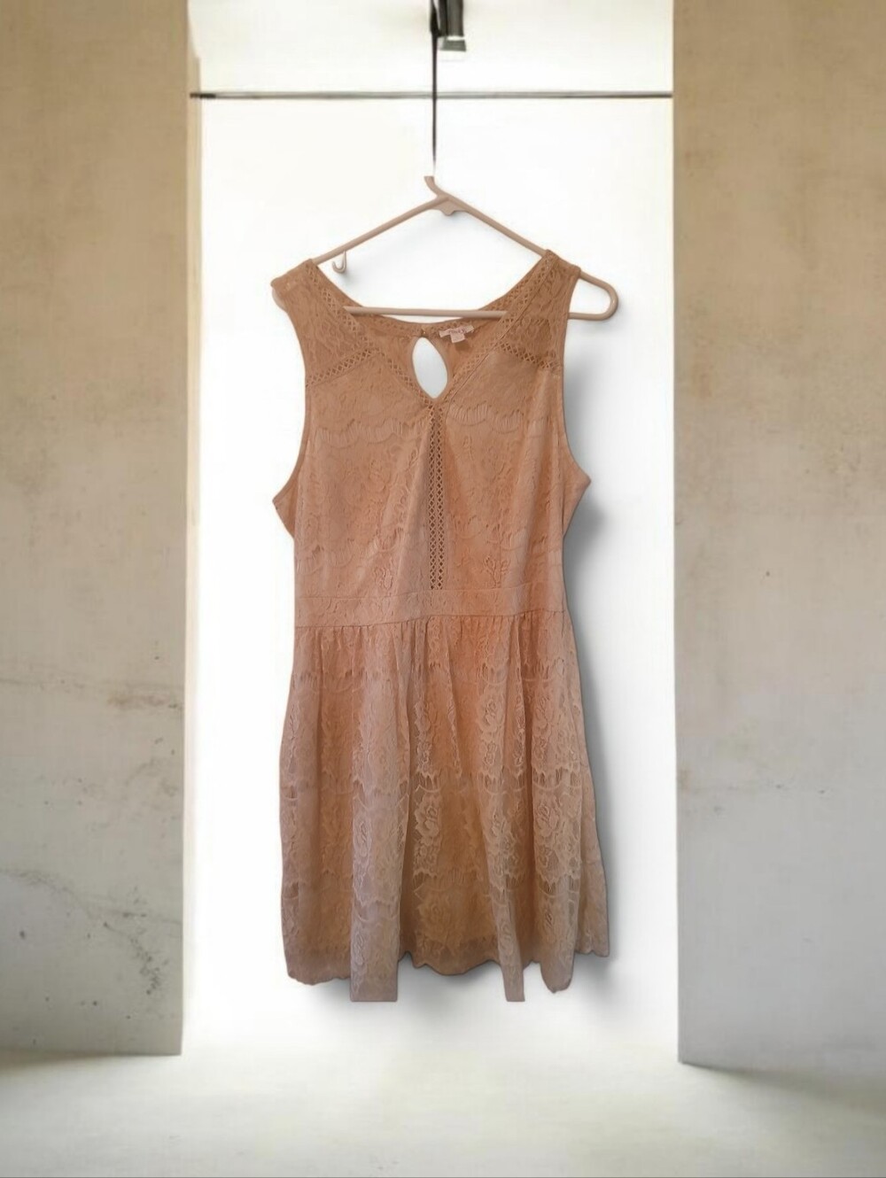 Romantic Sleeveless Lace A-Line Dress in Blush